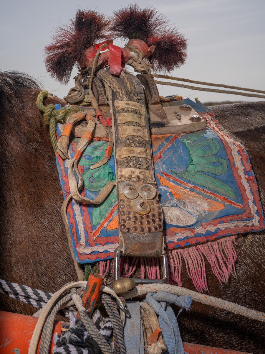 Song of the Southern Tianshan 10